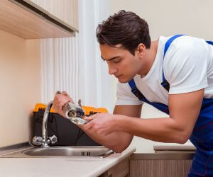 About Plumbers Pros Lowman, NY